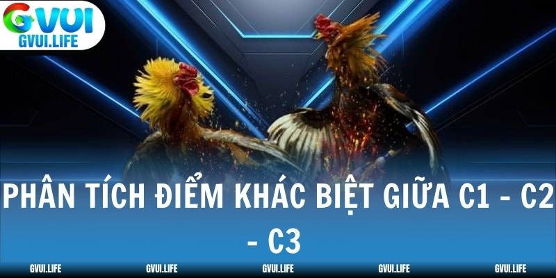 Phân tích điểm khác biệt giữa đá gà C1 C2 C3 